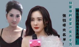 杨幂 娱乐圈爆料,揭秘明星背后的故事